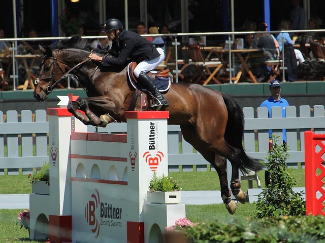 退赛之后也要被罚！泰山亚冠对阵光州6人染黄 罚款6000美元.