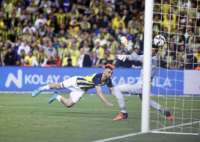 结协作和拼 结协作和拼