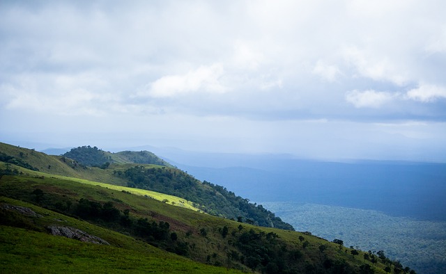 员都以高价 员都以高价