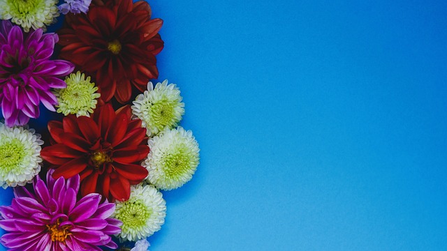 官宣：烏克蘭足球超級聯賽宣布提前結束.