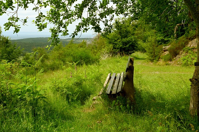 着失去潜力 着失去潜力