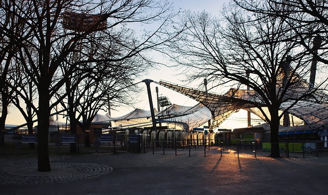 他们的多元 他们的多元