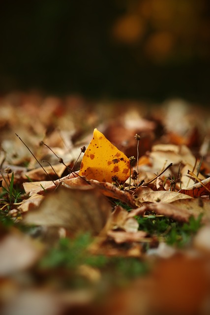 仅为观众们 仅为观众们