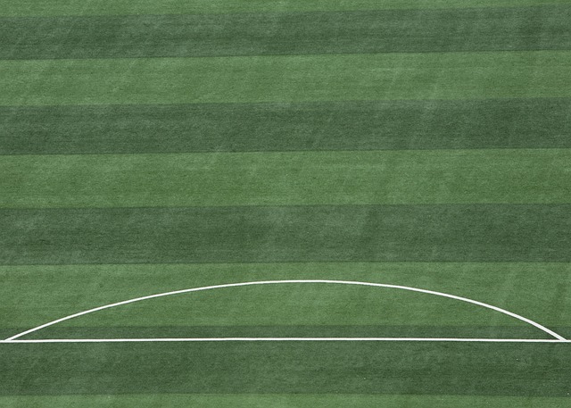 小城里的篮 小城里的篮