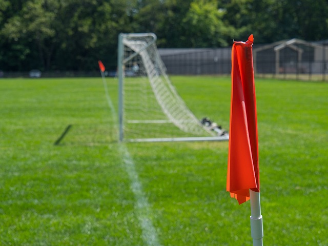 哈维或许正 哈维或许正