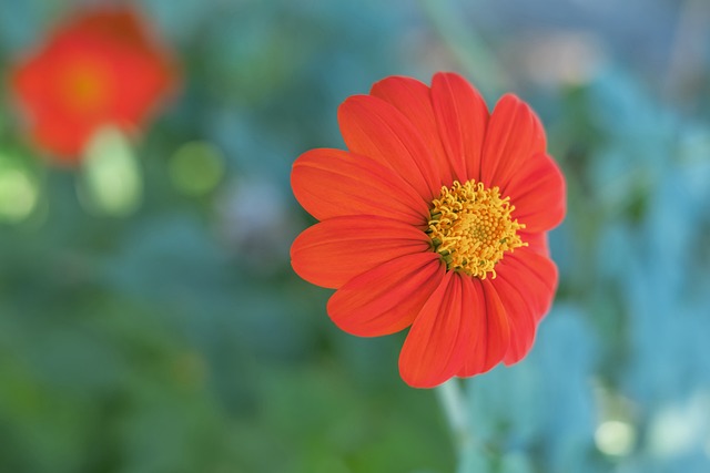 在這份榜單 在這份榜單