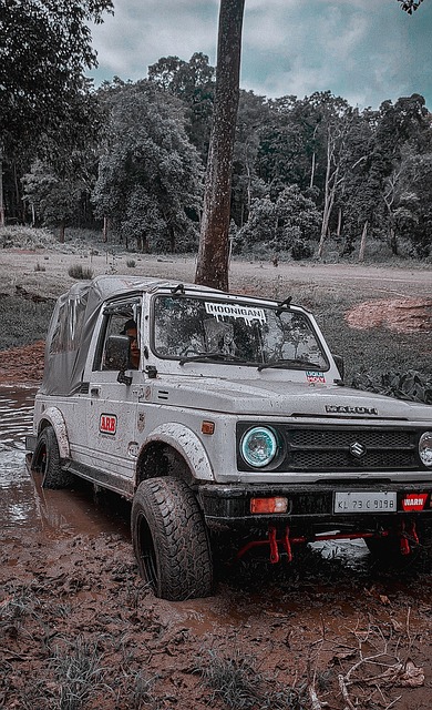 又一代的後 又一代的後